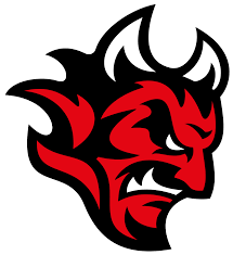 Cardiff Devils Ice Hockey